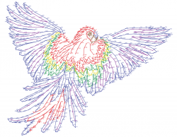Parrot in flight dot-to-dot